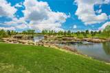 16387 Aliante Drive - Photo 33