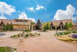 16387 Aliante Drive - Photo 34