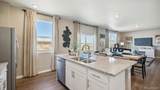9918 Danube Court - Photo 6