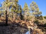  Rancho La Garita Lot 175 - Photo 15