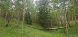 Lot 6882 Donna Road - Photo 2