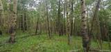 Lot 6882 Donna Road - Photo 3