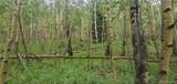 Lot 6882 Donna Road - Photo 6