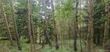 Lot 6882 Donna Road - Photo 7