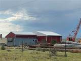 4407 Salt Cedar - Photo 2