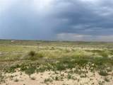 4407 Salt Cedar - Photo 6
