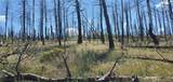 Lot 1064 Reed Lane - Photo 7