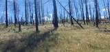 Lot 1064 Reed Lane - Photo 10