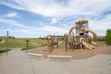 14317 Double Dutch Loop - Photo 40