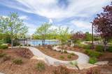 14317 Double Dutch Loop - Photo 41