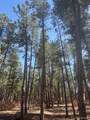 560 Princess Road - Photo 1
