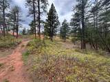 4356 Elati Road - Photo 8