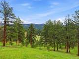 13532 Douglass Ranch Drive - Photo 35