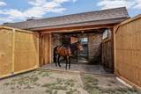 11480 Bear Creek Drive - Photo 44
