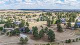 41346 Pine Meadow Circle - Photo 46