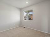 1637 Yampa River Drive - Photo 3