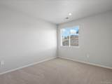 1637 Yampa River Drive - Photo 24