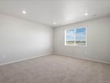 1637 Yampa River Drive - Photo 26