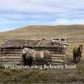 000 Wigwam Trail - Photo 17