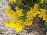000 Wigwam Trail - Photo 23