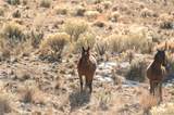 000 Tierra Blanca Lane - Photo 24