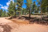 210 Donzi Trail - Photo 8