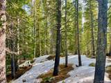 000 Lake Road - Photo 25