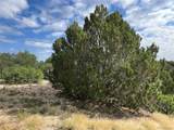 lot 462 Cripple Creek Drive - Photo 3
