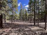 30336 National Forest Drive - Photo 2