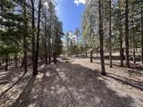 30336 National Forest Drive - Photo 3