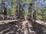 30336 National Forest Drive - Photo 4