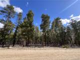 30336 National Forest Drive - Photo 7
