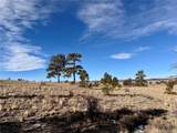 10620 Routt Road - Photo 14