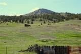  Hwy 9 - Photo 16