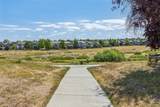 10314 Tracewood Drive - Photo 33