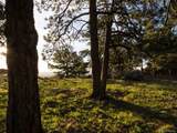 73 Canyon Pines Drive - Photo 13