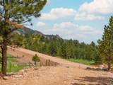 73 Canyon Pines Drive - Photo 5