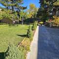 7423 Costilla Boulevard - Photo 31