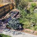 7423 Costilla Boulevard - Photo 40