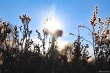 Corner, Double Lot Mesa Verde Trail - Photo 10