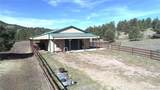 1321 Bristlecone Road - Photo 29