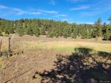 1321 Bristlecone Road - Photo 31
