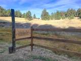 1321 Bristlecone Road - Photo 32
