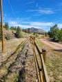 1321 Bristlecone Road - Photo 33