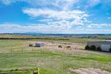 10547 Gillian Avenue - Photo 41