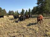 3498 County Road 116 - Photo 4