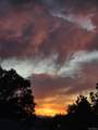 1717 Mobile Street - Photo 38