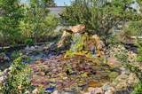 13861 Elmore Road - Photo 38