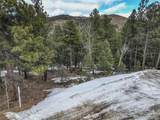 456 Lo Meadow Lane - Photo 23