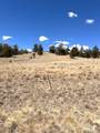 2972 Fitzsimmons - Photo 6
